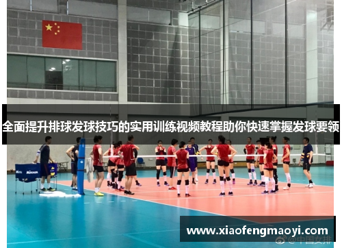 全面提升排球发球技巧的实用训练视频教程助你快速掌握发球要领