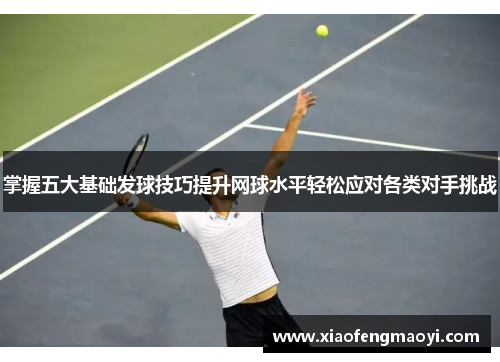 掌握五大基础发球技巧提升网球水平轻松应对各类对手挑战