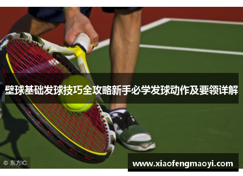 壁球基础发球技巧全攻略新手必学发球动作及要领详解