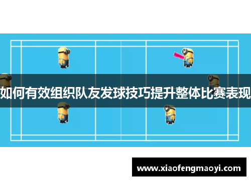 如何有效组织队友发球技巧提升整体比赛表现
