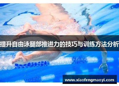 提升自由泳腿部推进力的技巧与训练方法分析