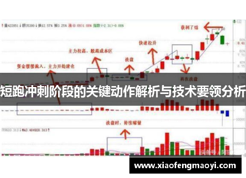 短跑冲刺阶段的关键动作解析与技术要领分析