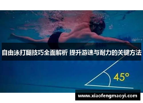 自由泳打腿技巧全面解析 提升游速与耐力的关键方法