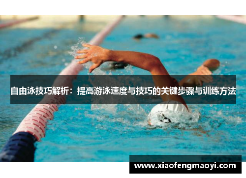 自由泳技巧解析：提高游泳速度与技巧的关键步骤与训练方法