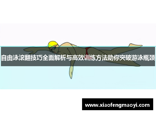 自由泳滚翻技巧全面解析与高效训练方法助你突破游泳瓶颈
