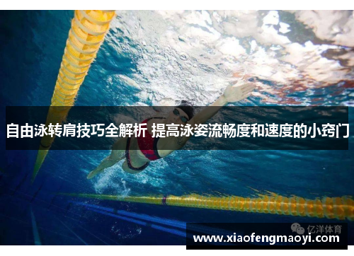 自由泳转肩技巧全解析 提高泳姿流畅度和速度的小窍门